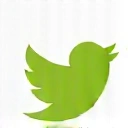 Twitter icon